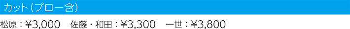 カット(ブロー含)