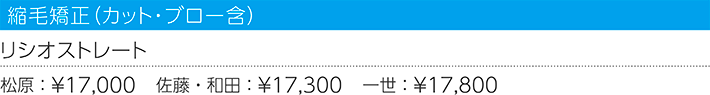 縮毛矯正(カット・ブロー含)